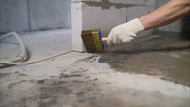 SJ Waterproofing Pros Exterior Waterproofing coverage map for Catonsville, MD and surrounding area